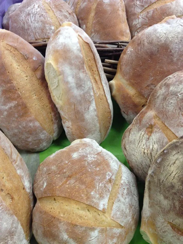 Fresh baked loaves of bread