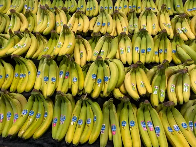 Bananas on the produce display