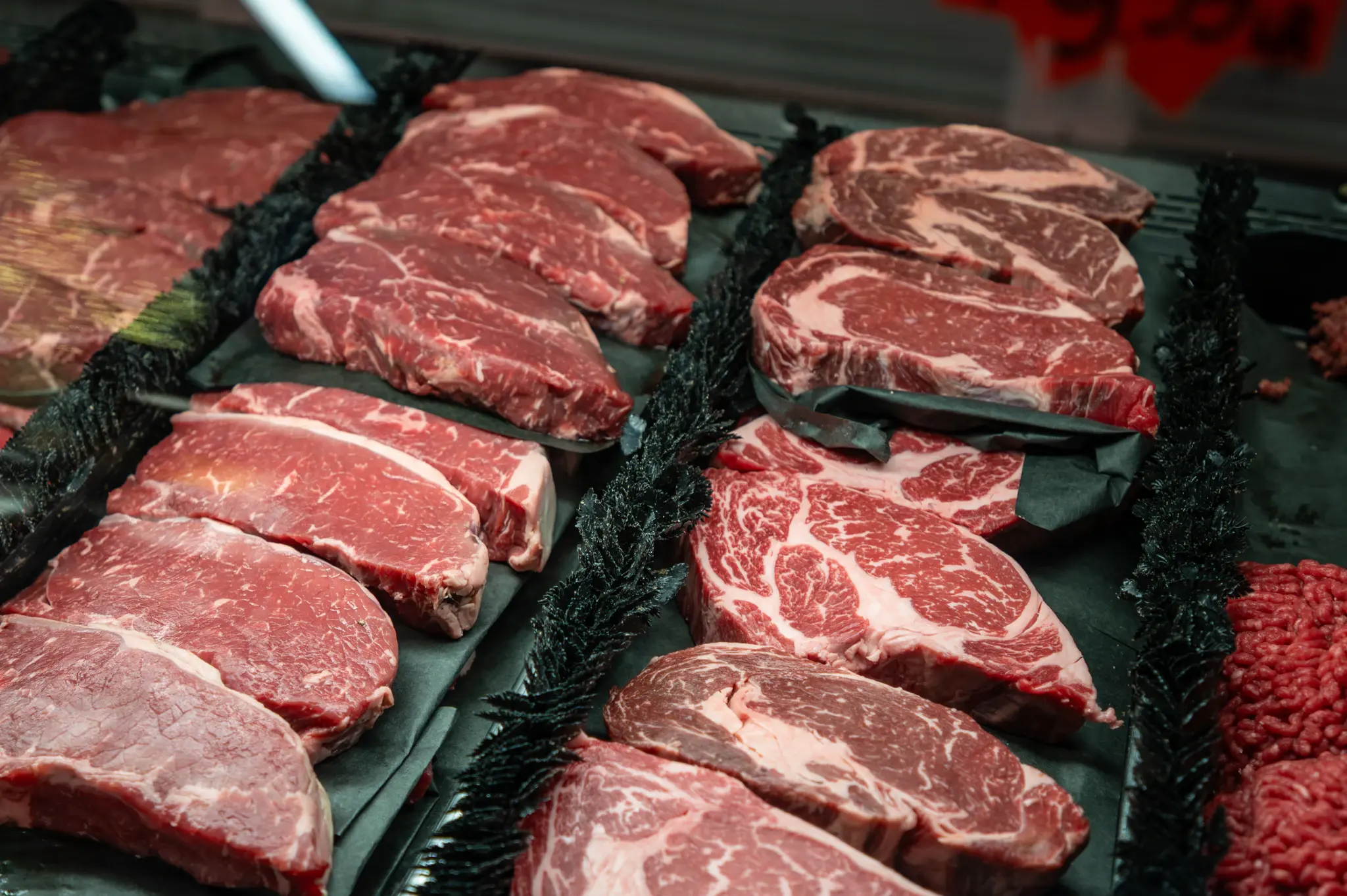 Cuts of beef in the butcher case