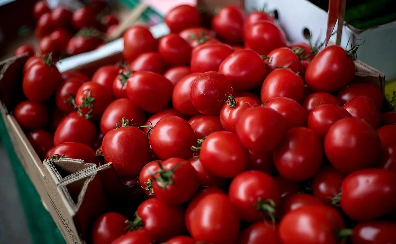 Cherry tomatoes on the produce table