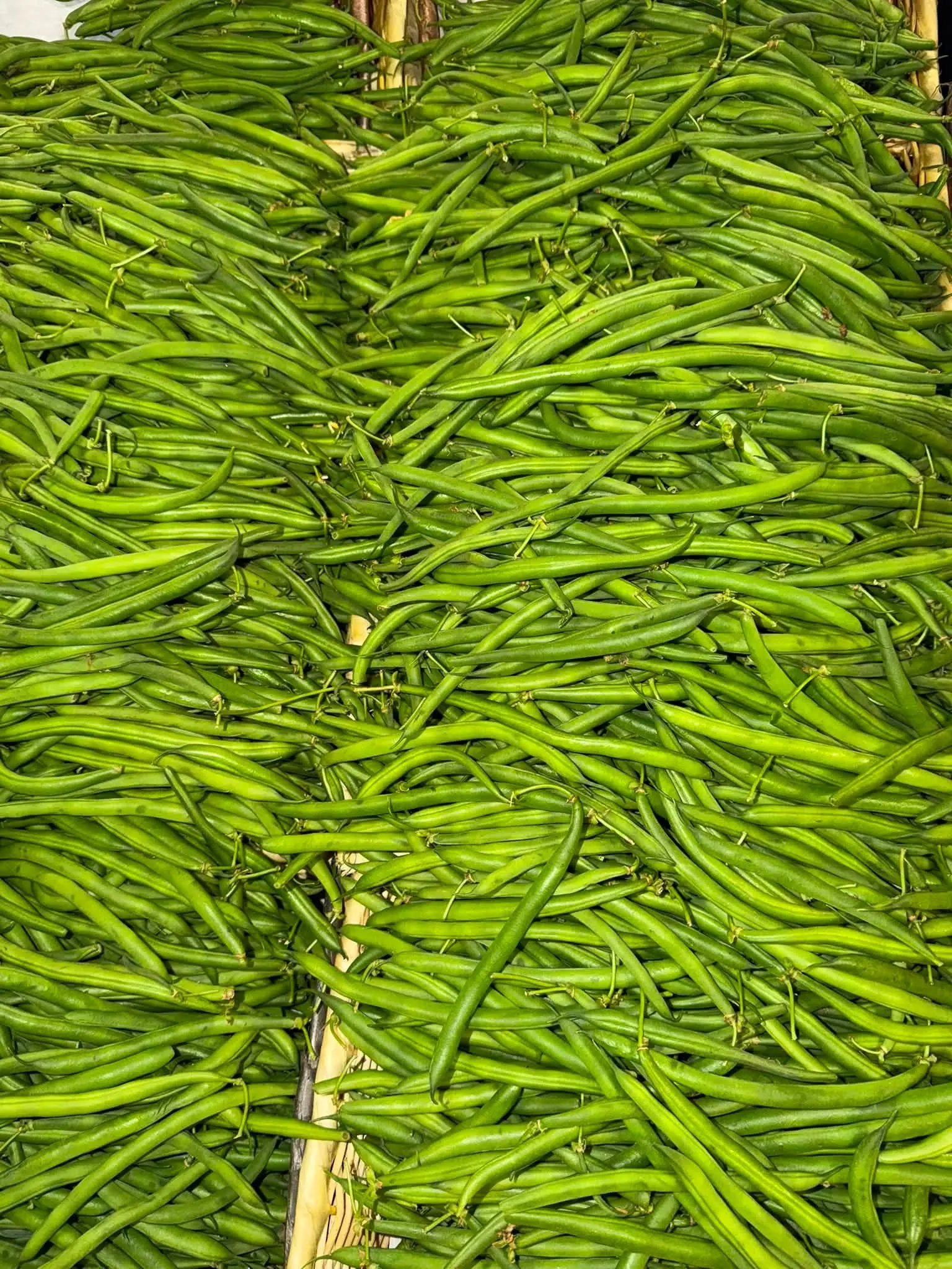 Fresh green beans on the produce table