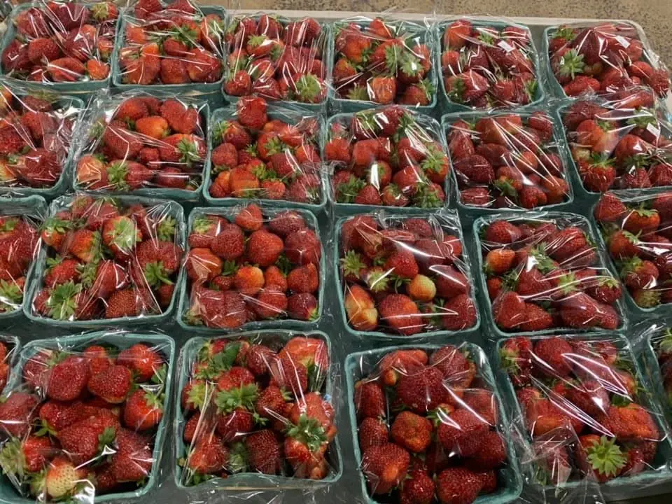 Packaged strawberries on the produce display