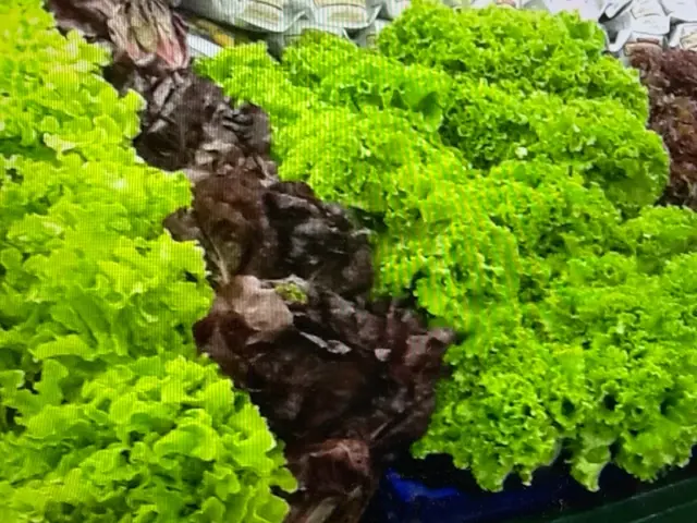 Green leaf lettuce on the produce display