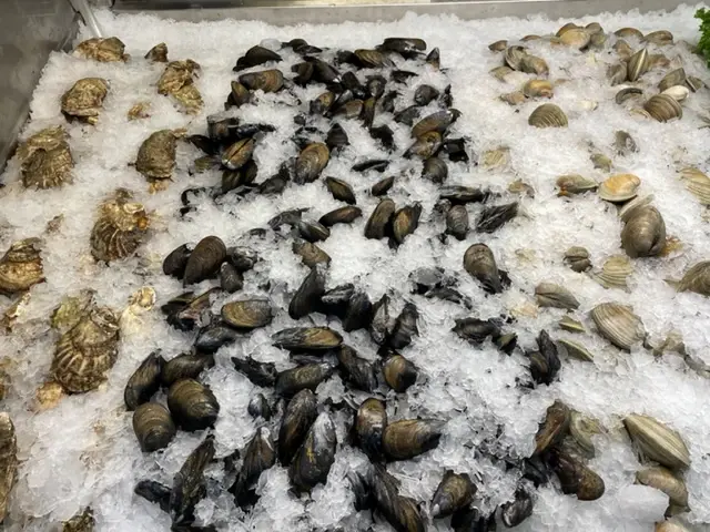 Fresh clams on ice