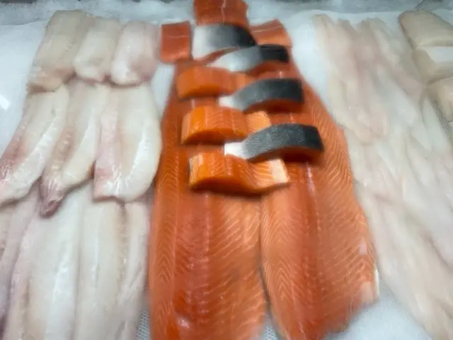 White fish fillets in the seafood case