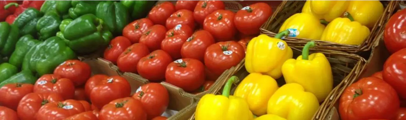 A wide view of the produce department