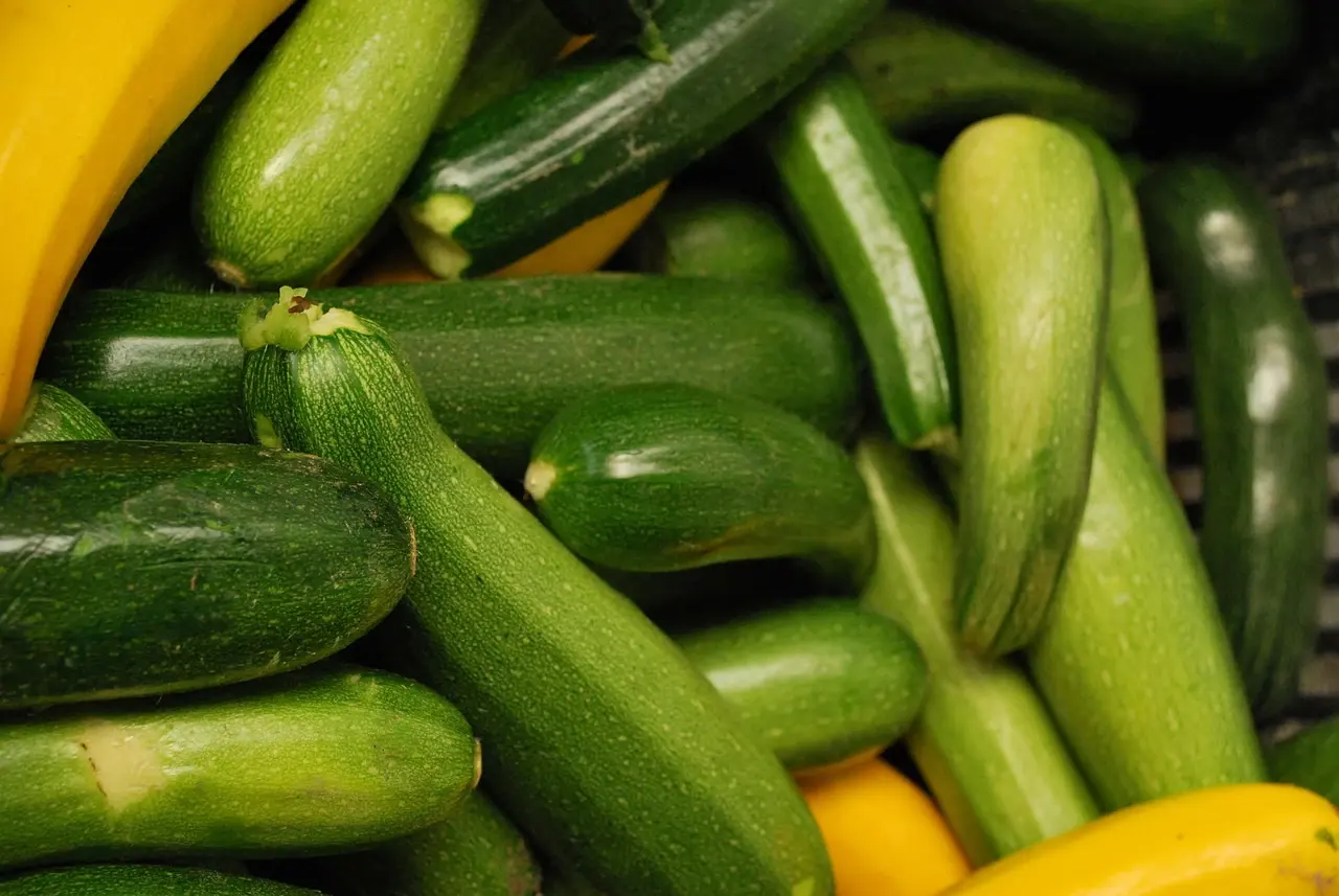 Green and yellow summer squash