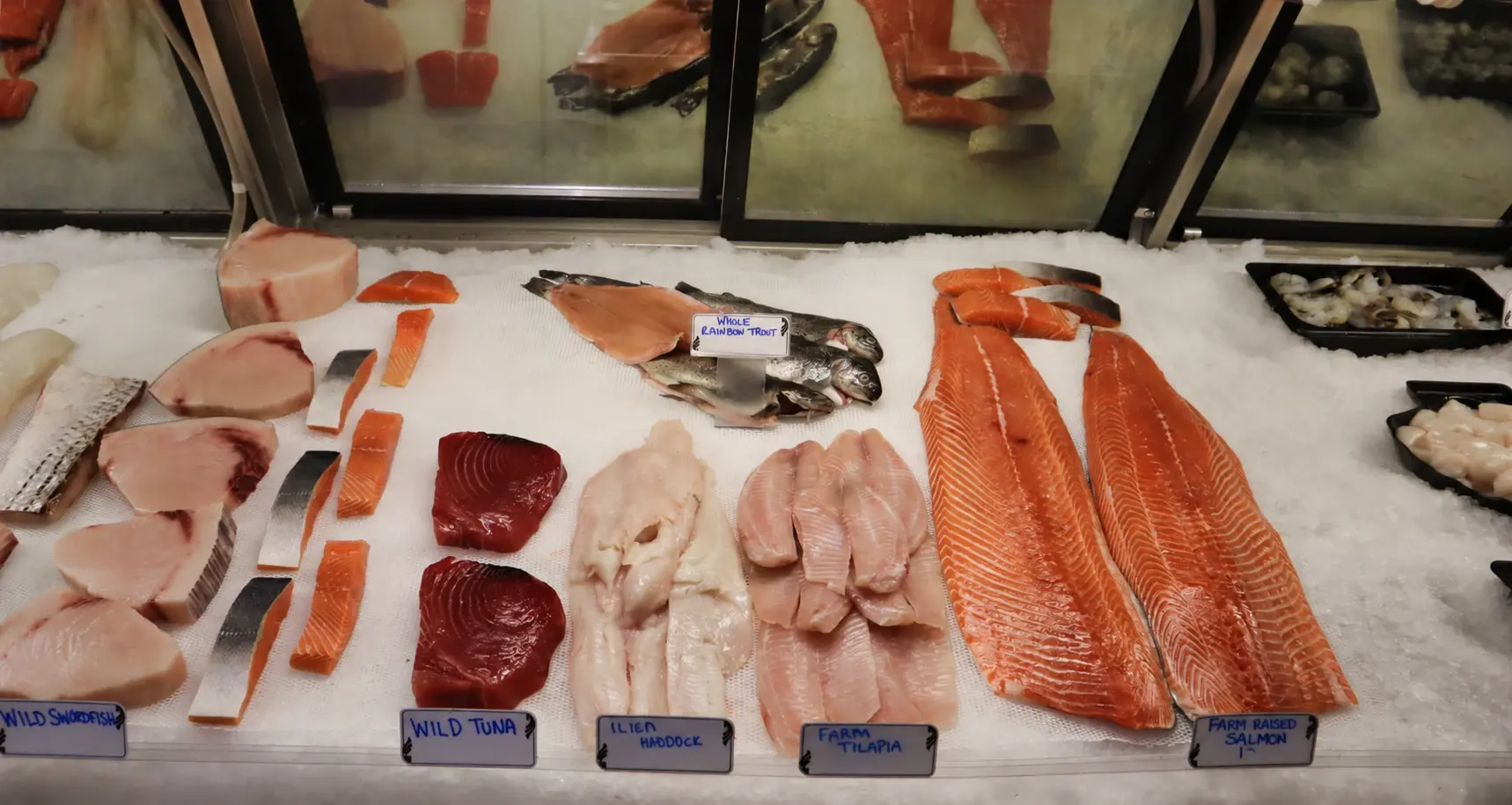 Swordfish, tuna, haddock, tilapia and salmon laid out on ice at the seafood counter