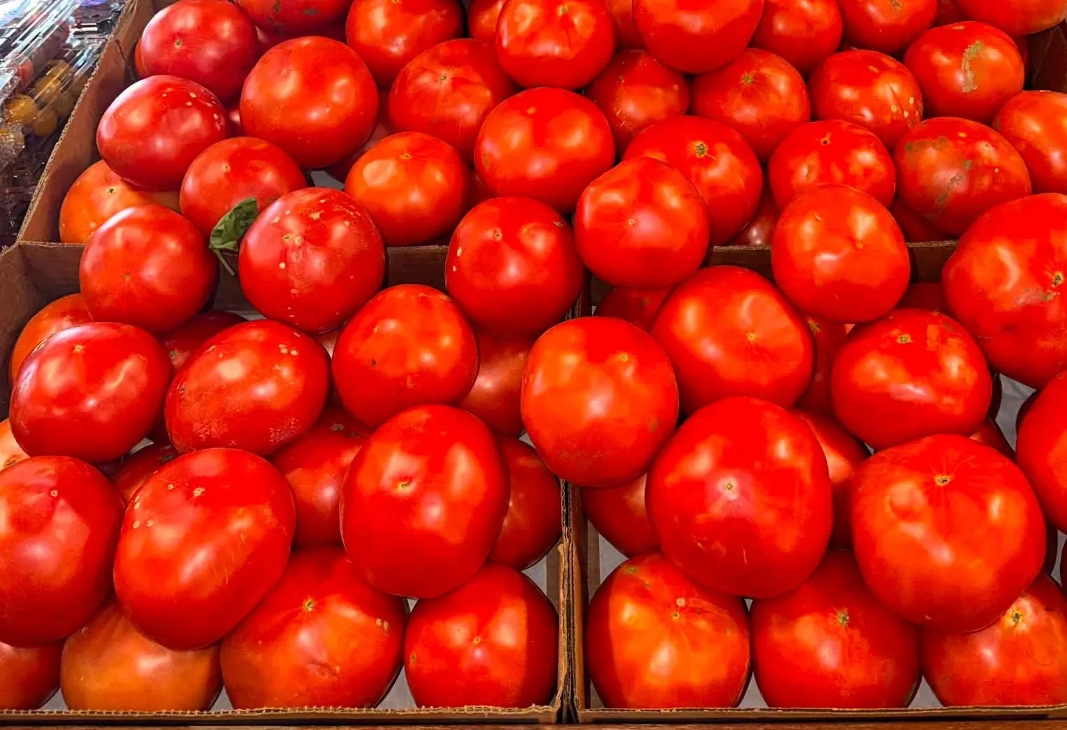 Crates of beefsteak tomatoes on the produce table